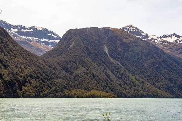 Landscapes Lake Gunn Forest Water Snowy Peaks Lake New Zealand — Stock Photo, Image