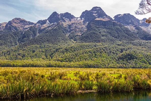 Groene Kusten Van Lake Mirror Kleine Meren Van Het Zuidereiland — Stockfoto