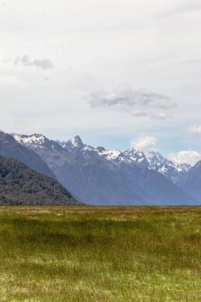 Champs Montagnes Enneigées Lointaines Sur Route Parc National Fiordland Nouvelle — Photo
