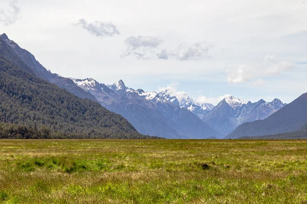 Fält Och Avlägsna Snöiga Berg Väg Till Milford Sound Fiordlands — Stockfoto