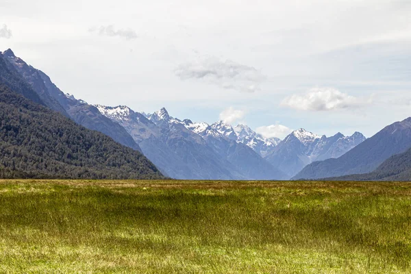 들판과 눈덮인 피오르드 뉴질랜드 — 스톡 사진