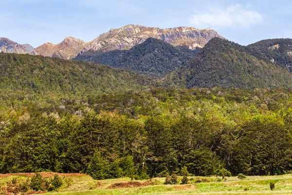 Nieuw Zeelandse Landschappen Weg Naar Milford Sound Nationaal Park Fiordland — Stockfoto