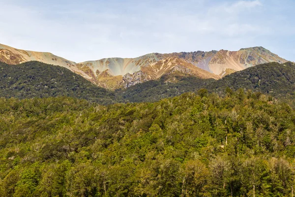 South Island Landschappen Weg Naar Milford Sound Bos Pittoreske Rotsen — Stockfoto