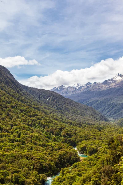 Paisajes Isla Sur Parque Nacional Fiordland Río Entre Denso Bosque Imágenes de stock libres de derechos