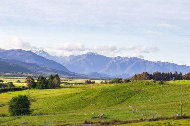 Milford Sound 'a giden Güney Adası manzaraları. İtfaiyeciler Ulusal Parkı. Yeni Zelanda