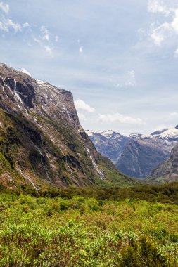 Saf kayalıklar ve Fiordland 'a giden yeşil vadi. Güney Adası, Yeni Zelanda