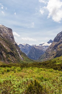 Fiordland 'a giden yeşil bir vadi. Güney Adası, Yeni Zelanda