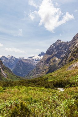 Yeşil bir vadi ve Fiordland yolunda karla kaplı dağ tepeleri. Yeni Zelanda
