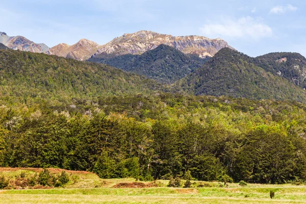 ミルフォードサウンドへ向かう途中の南島の風景 森と絵のような岩 フィールドランド国立公園 ニュージーランド — ストック写真