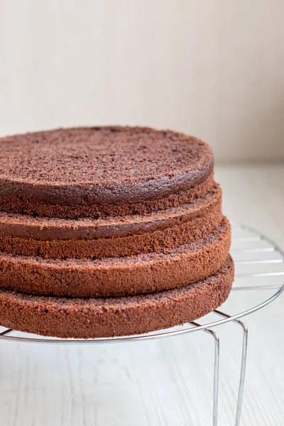 chocolate sponge cake, cakes on a stand, cake blank