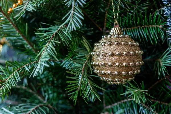 Bola de Navidad colgando en una rama de abeto —  Fotos de Stock