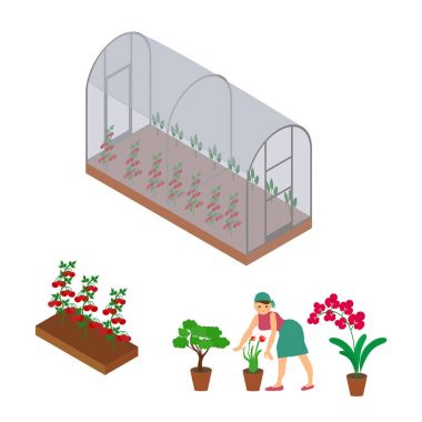 Tarım ve simgeler beyaz arka plan üzerinde tarım