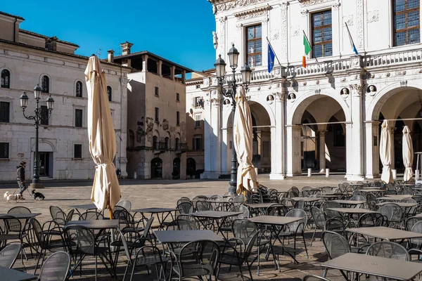 Giovane Adulto Che Indossa Una Maschera Passeggia Con Suoi Cani — Foto Stock