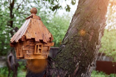Arı, bitkisel ilaç ve vücudun güçlendirilmesi konukları için sağlık evi