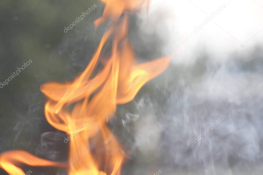 Texture. Bonfire. Orange flame of a fire. Bonfire background.