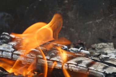 Ateş. Bir yangının portakal alevi. Şöminenin içinde huş ağacı yanan.