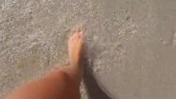 Una Ragazza Cammina Sulla Sabbia Spiaggia Vista Dall Alto Belle — Video Stock