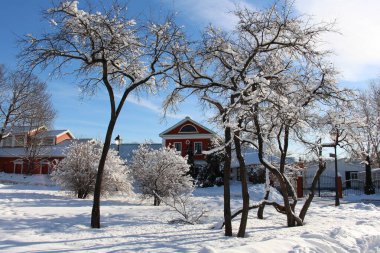 Karlı bir ormanın ortasında yalnız bir ev..