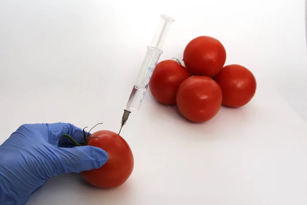 Gmo Specialist injicerar vätska från en spruta i en röd tomat. — Stockfoto
