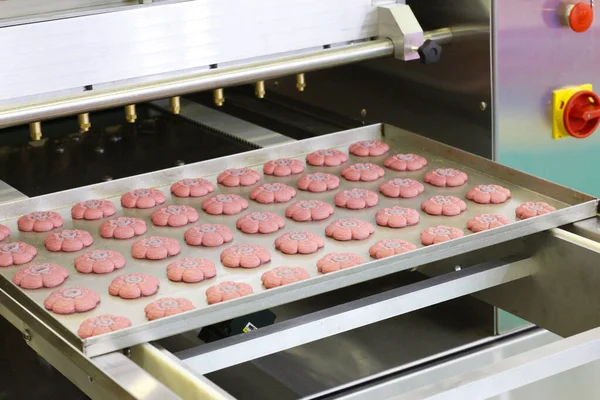 Hacer pasteles dulces en una línea de producción. Sistema de moldeo . — Foto de Stock