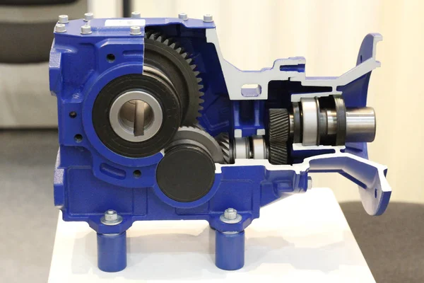 Cross section of the gearbox. Worm gearboxes for aggressive environments.