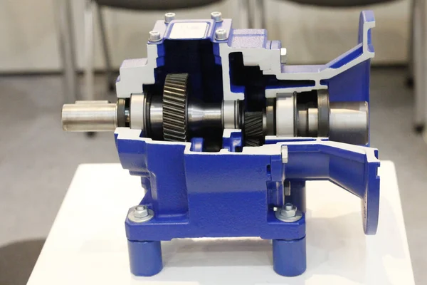 Cross section of the gearbox. Worm gearboxes for aggressive environments.