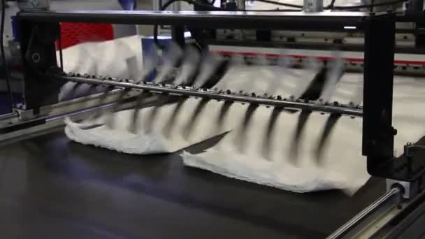Videon Visar Fabrik Som Tillverkar Plastpåsar Axlarna Snurrar Cellofan Rör — Stockvideo