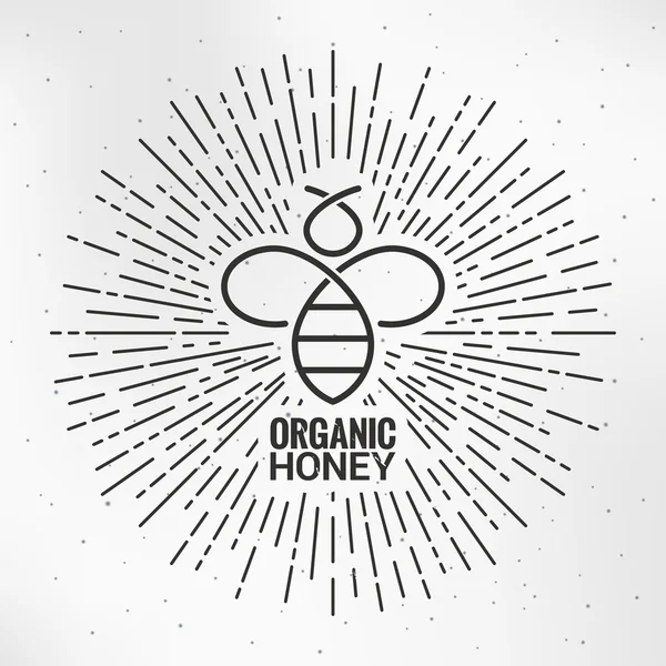 Logo abeille avec fond papier sunburst — Image vectorielle