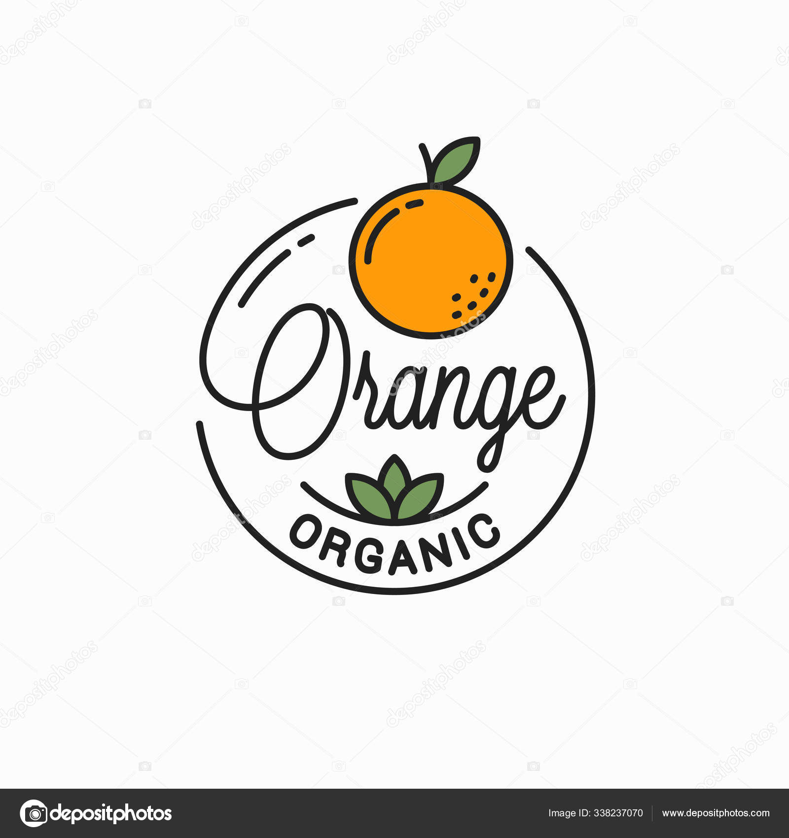 Orange fruit logo. Round linear logo of orange Stock Vector Image by