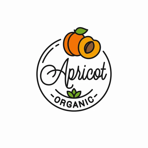 Logo frutta albicocca. Rotondo lineare di fetta di albicocca — Vettoriale Stock