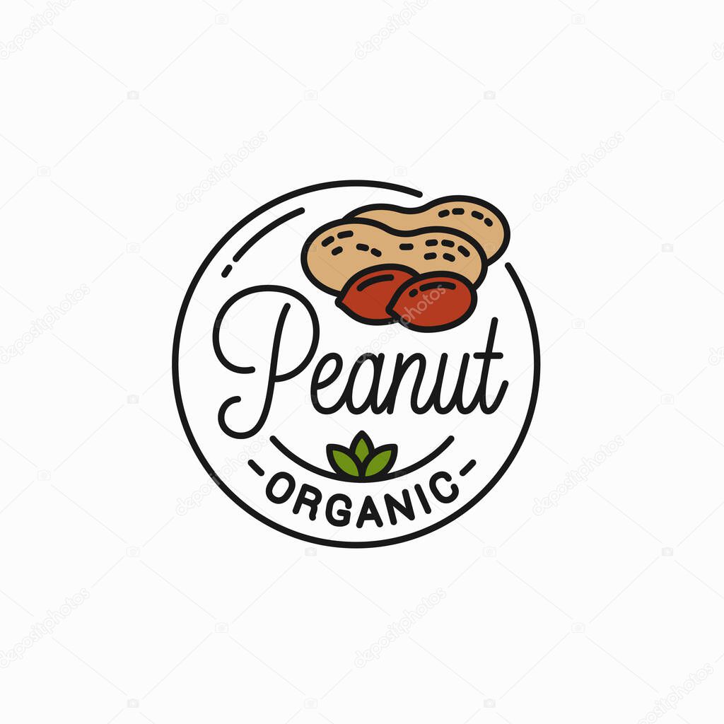 Peanut nut logo. Round linear logo of peanut on white background 8 eps