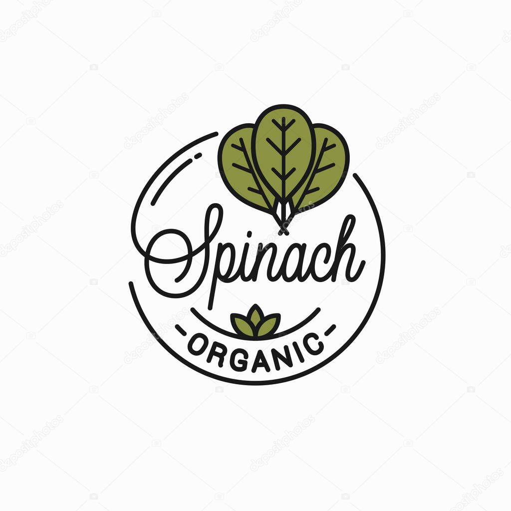 Spinach leaves logo. Round linear of spinach