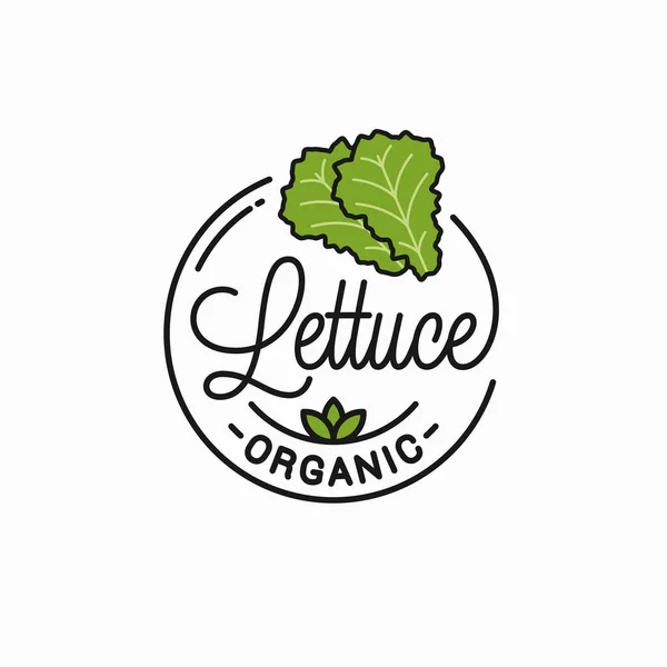Logotipo de legumes de alface. Linear redondo de alface —  Vetores de Stock