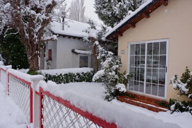 İspanya, Aragon - 17 Kasım 2019: Kış erken başlıyor, köyde hala yeşil ağaçları kaplayan kar fırtınası