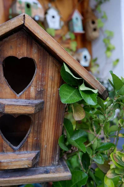 Casa Legno Uccelli Nascosta Nel Fogliame Verde Ingresso Uccelli Forma — Foto Stock