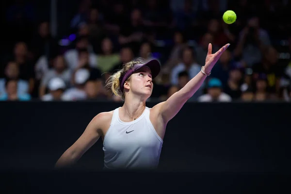 CHINA CHINESE GUANGDONG SHENZHEN WTA FINALS 2019 SOLO FINAL —  Fotos de Stock