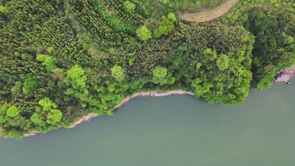 Aerial View Heart Shaped Pit Filled Water Shrouded Trees Plants — Stock Video