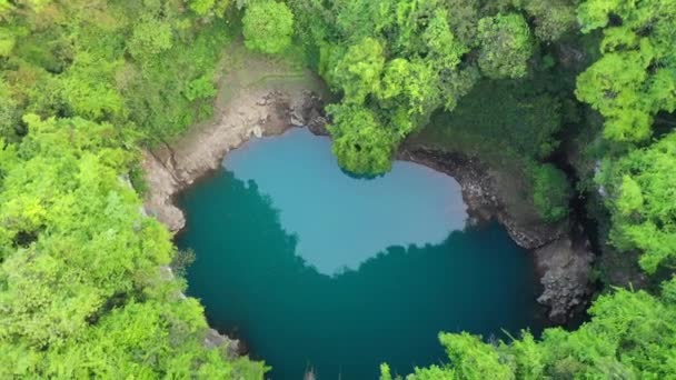 Αεροφωτογραφία Ενός Λάκκου Σχήμα Καρδιάς Γεμάτου Νερό Και Καλυμμένο Δέντρα — Αρχείο Βίντεο