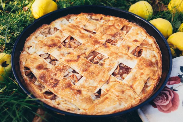 Äppelpaj Thanksgiving Dag Med Hemlagad Äppelpaj Och Äpplen — Stockfoto