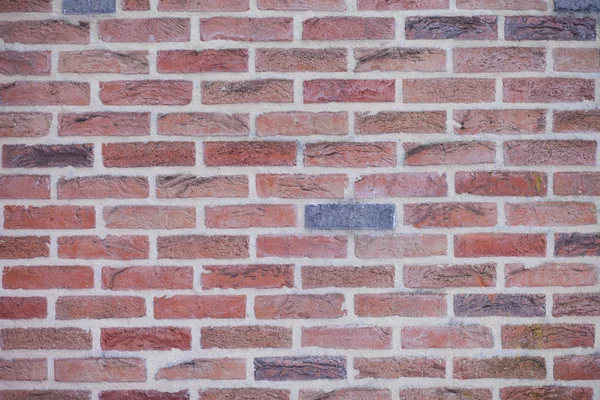 Wall Colored Bricks Texture — Stock Photo, Image