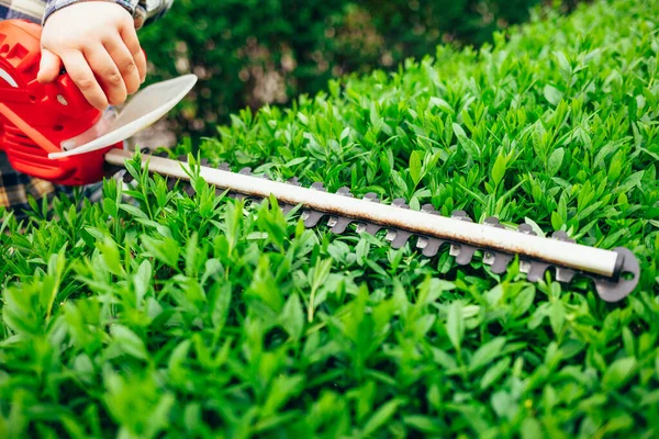 Cutting Shrub Electric Brush Cutter — Stock Photo, Image