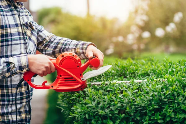 Man mows shrubs with electric trimmer for bushes — Stock Image Man Mows Shrubs Electric Trimmer Bushes Stock Image