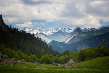 Yaz aylarında Pirene Dağları