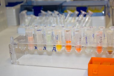 Laboratuarda örnekleri