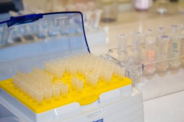 Laboratuarda örnekleri