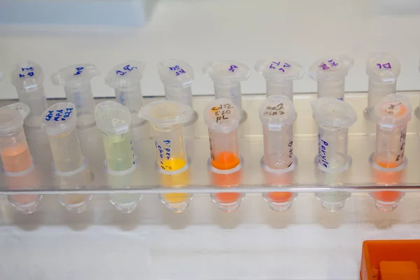 Próbek w laboratorium — Zdjęcie stockowe