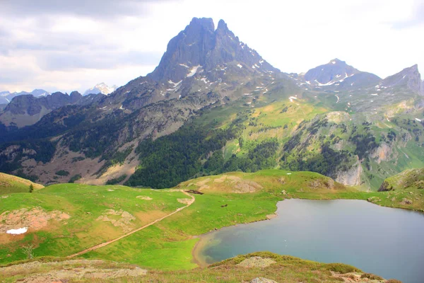 Pirene Dağları'yaz, orman