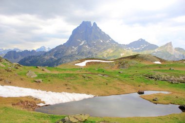 Pirene Dağları'yaz, orman