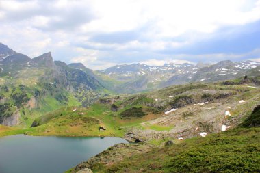 Pirene Dağları'yaz, orman