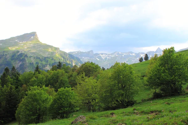 Pirenei montagne in estate — Foto Stock